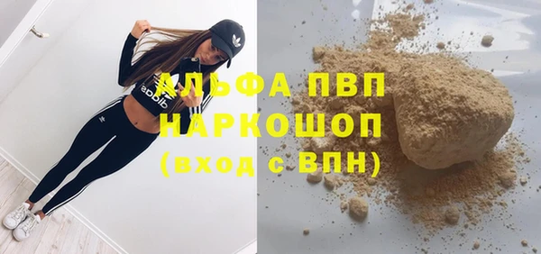 спайс Пересвет