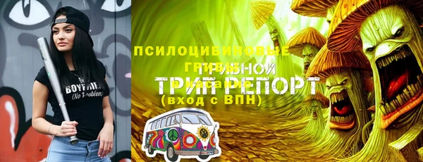 спайс Пересвет