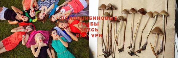спайс Пересвет