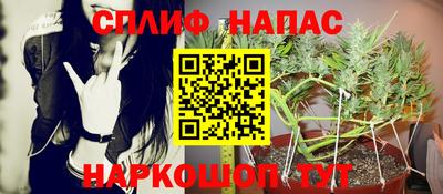 шишки Абинск