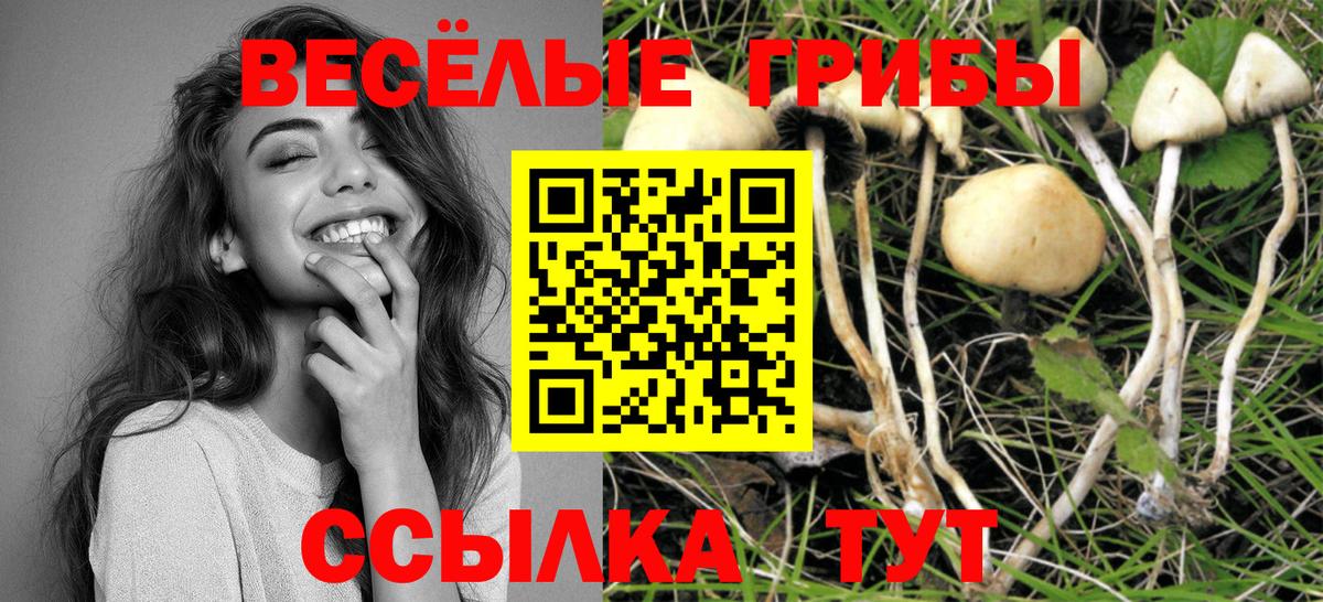 Канабис  Гарик  Вход с VPN  Ляпка  АМФЕТАМИН  Алатырь  COCAIN  Меф 