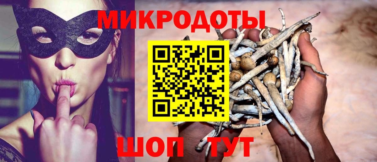 Псилоцибиновые грибы GOLDEN TEACHER Алатырь